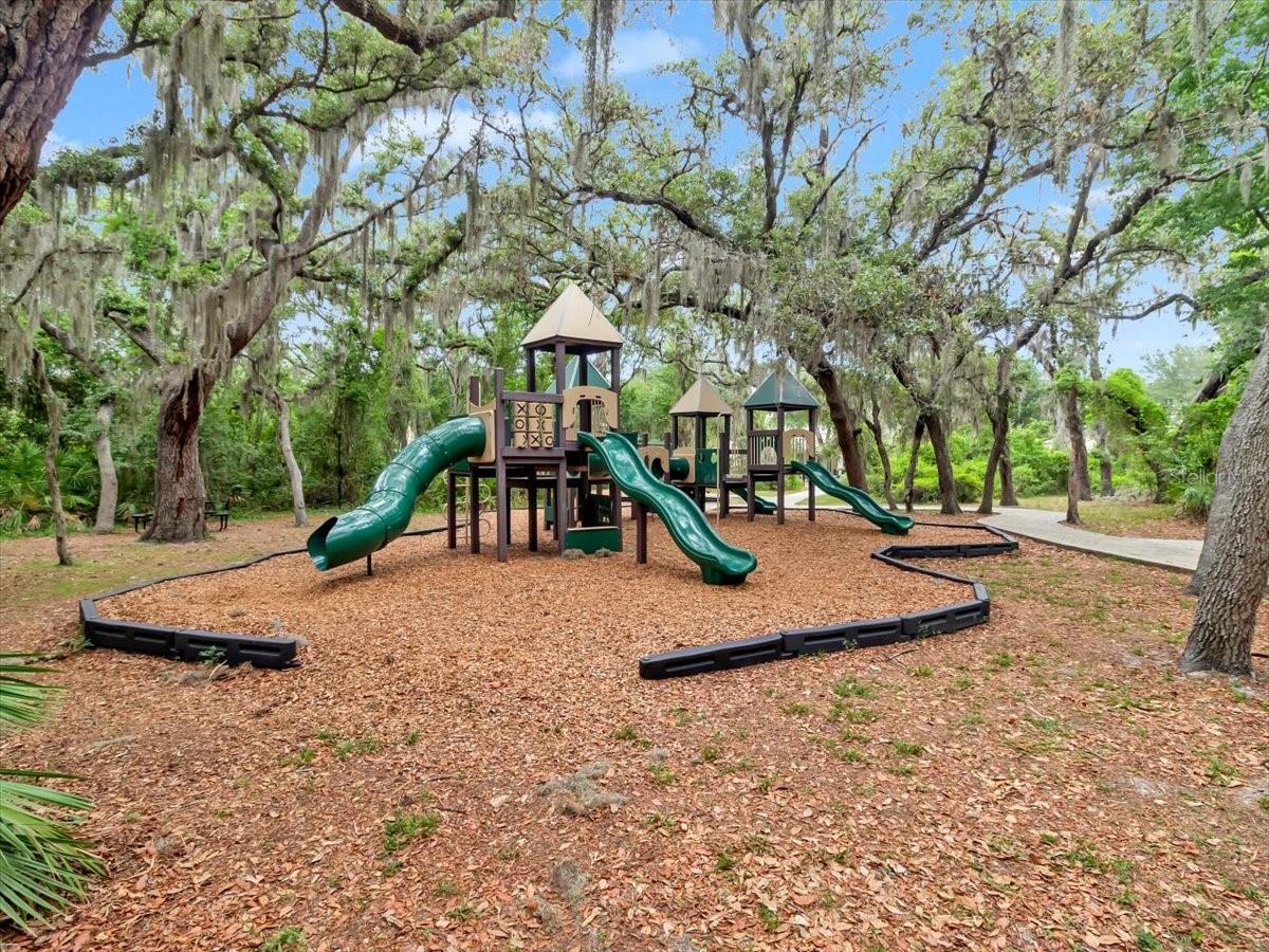 FISHHAWK RANCH TOWNCENTER PHAS - Residential