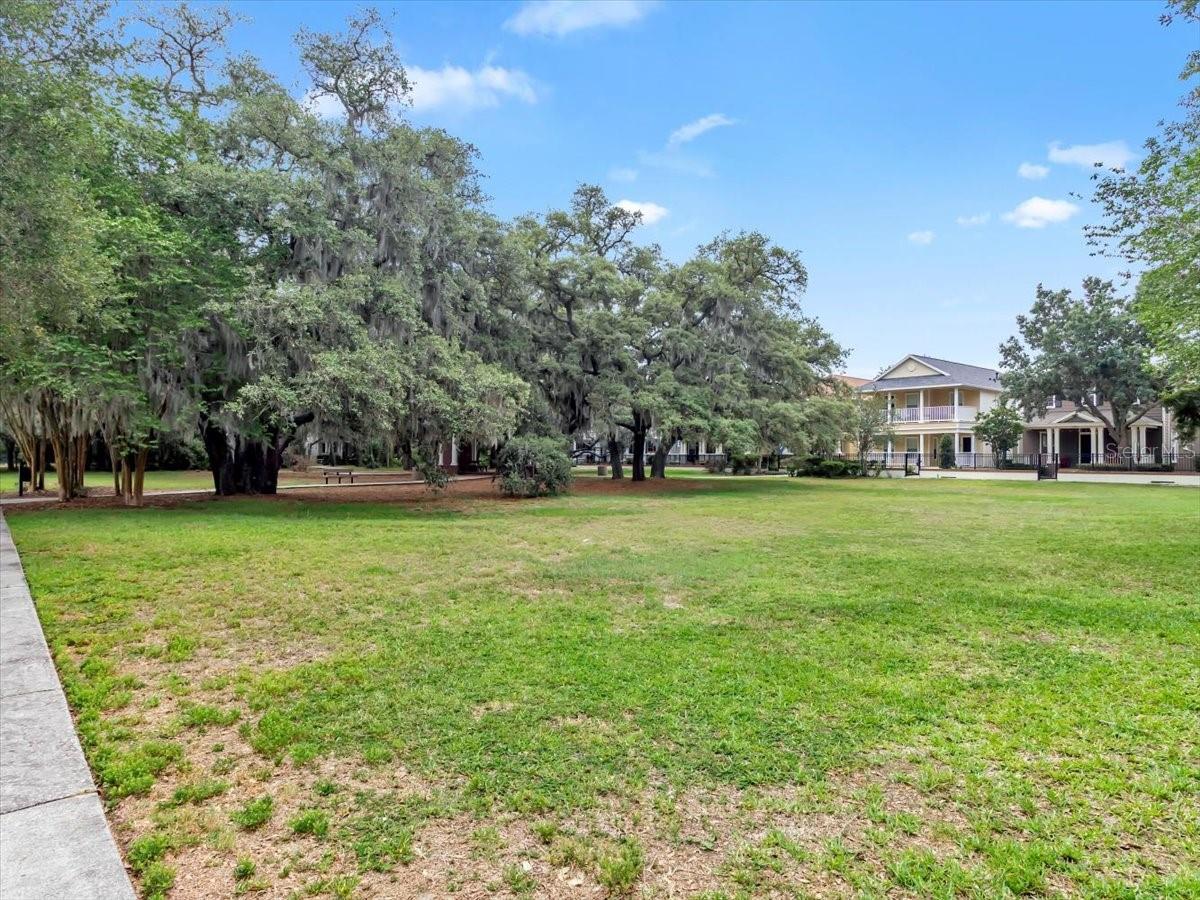 FISHHAWK RANCH TOWNCENTER PHAS - Residential