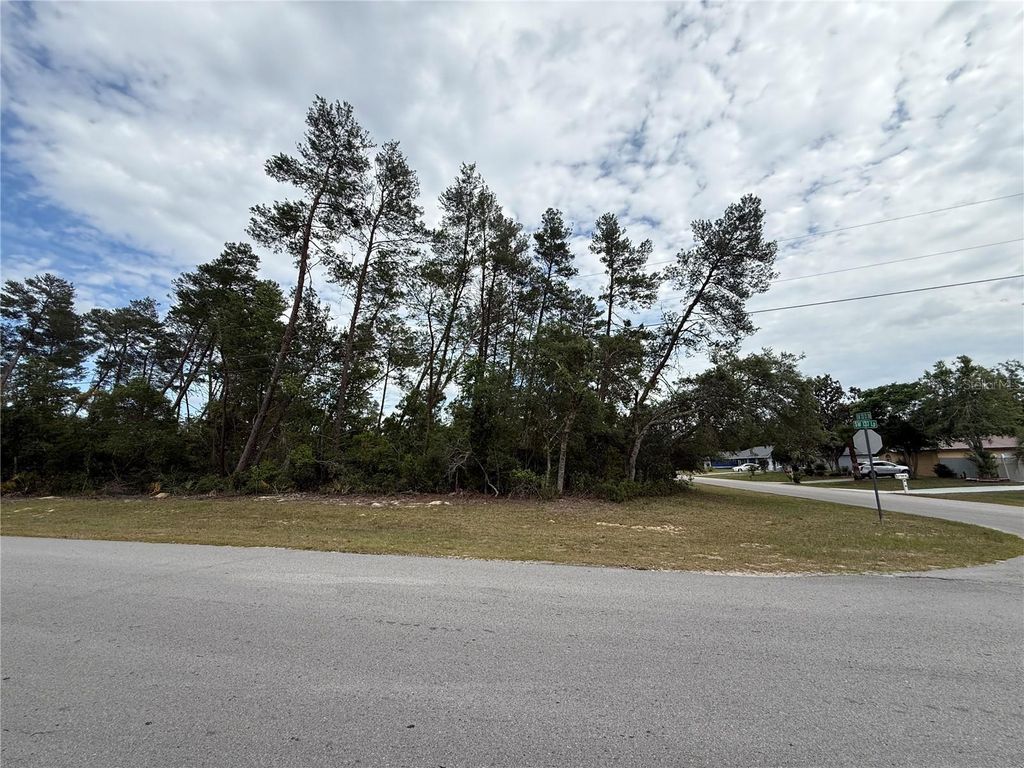 Photo of 0 SW 33rd Court Road, Ocala, FL 34473 (MLS # OM723896)