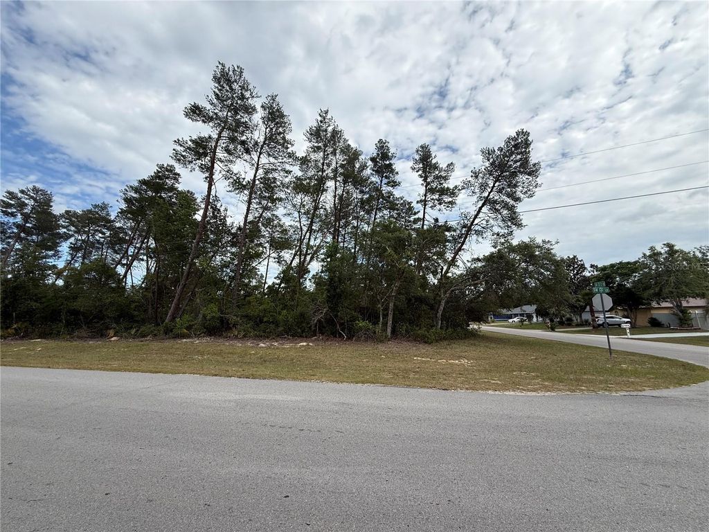 Photo of 0 SW 33rd Court Road, Ocala, FL 34473 (MLS # OM723896)