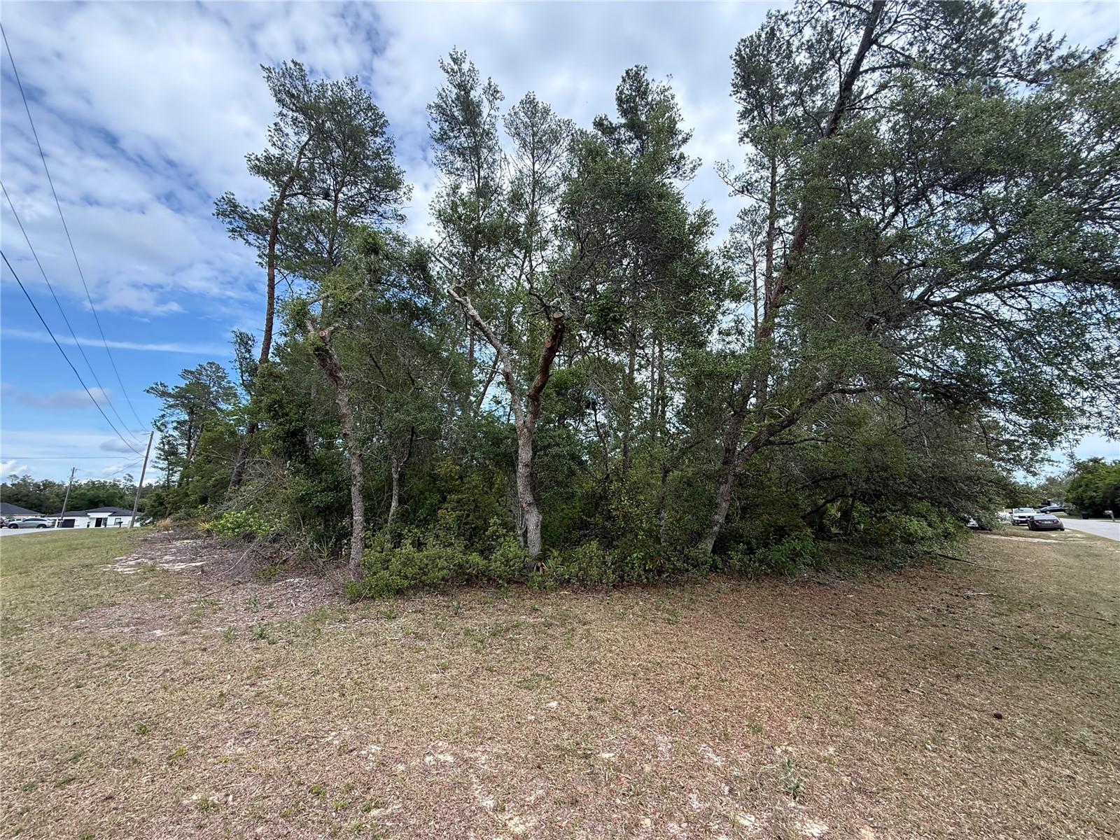 MARION OAKS - Land