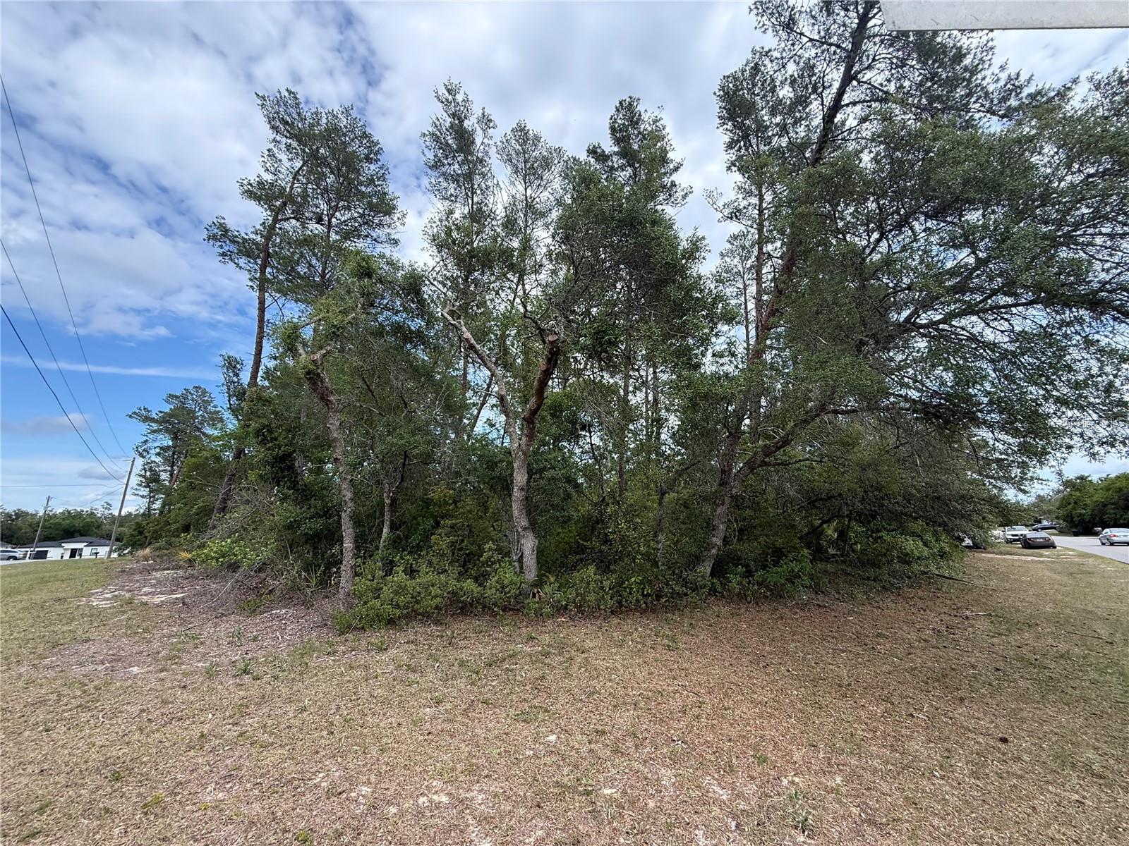 MARION OAKS - Land