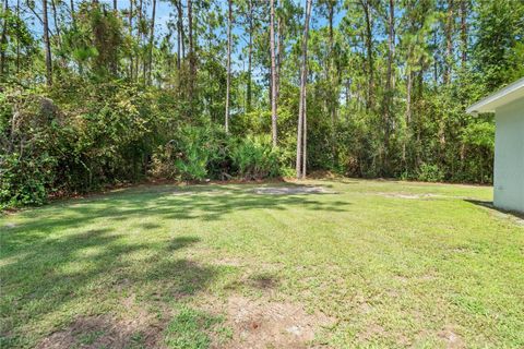 A home in PALM COAST