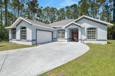 A home in PALM COAST