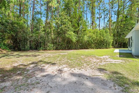 A home in PALM COAST