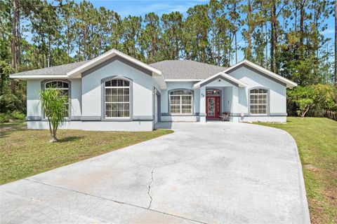 A home in PALM COAST