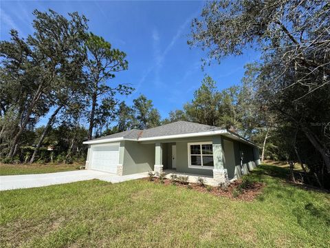 19447 SW 98TH PLACE ROAD DUNNELLON FL 34432