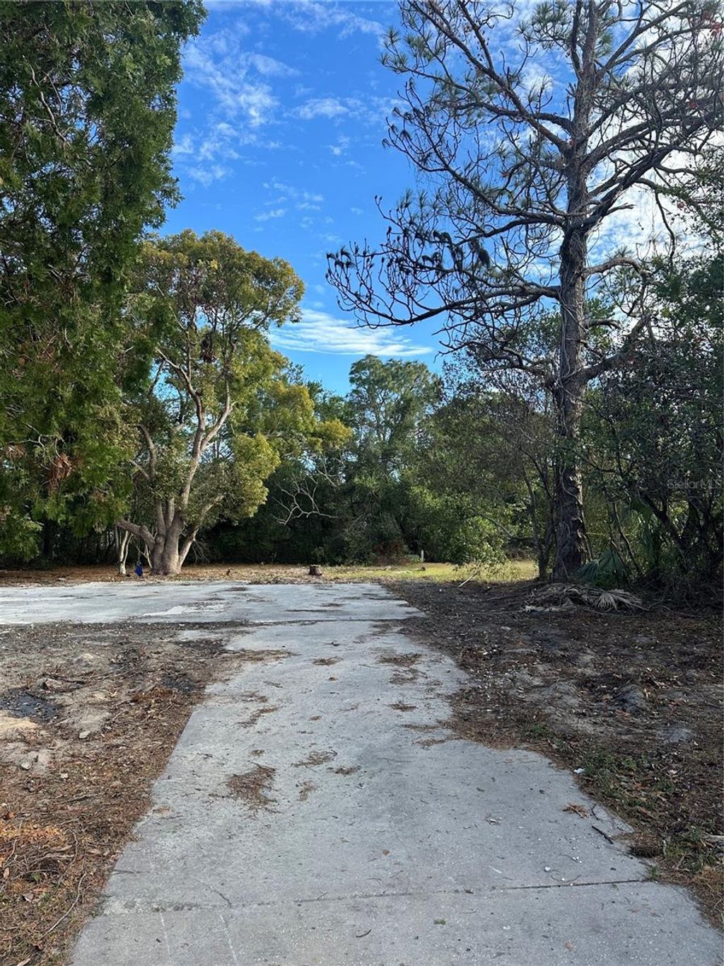 Photo of 11411 Sagamore Street, Spring Hill, FL 34609 (MLS # W7871238)