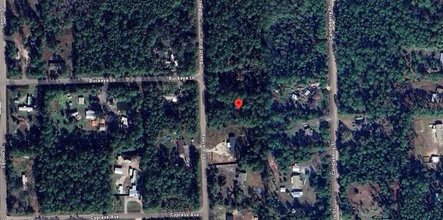 Discover the potential of this spacious parcel in Hastings, Florida. This high and dry lot, no wetlands, no flood zones, and no HOA. A survey, soil test, and site plans are already completed, giving you a head start on building or investing. Enjoy a quiet country setting with easy access to nearby amenities—endless possibilities await.