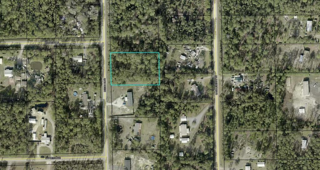 Photo of 1759 Beech Boulevard, Bunnell, FL 32110 (MLS # O6363355)
