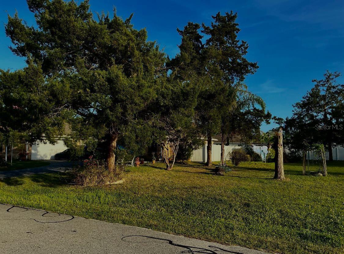 PALM COAST SECTION 12 - Land