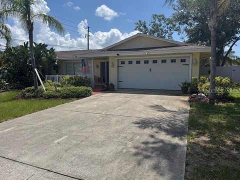10185 SANTIAGO COURT SEMINOLE FL 33776