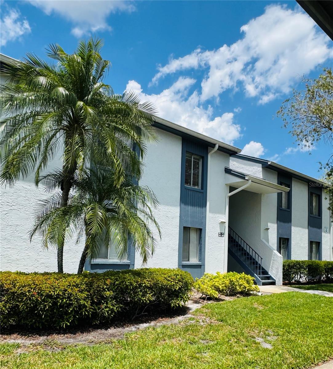 EAST LAKE WOODLANDS CYPRESS ESTATES - Residential Lease