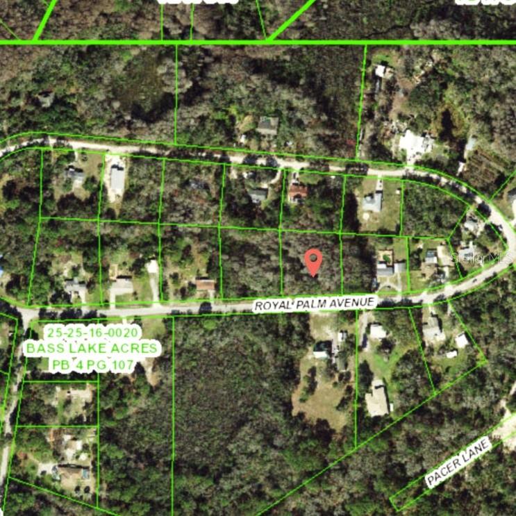 9805 ROYAL PALM AVENUE