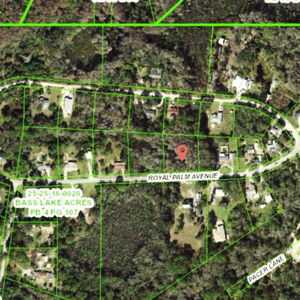 Photo of 9805 Royal Palm Avenue, New Port Richey, FL 34654 (MLS # TB8502836)