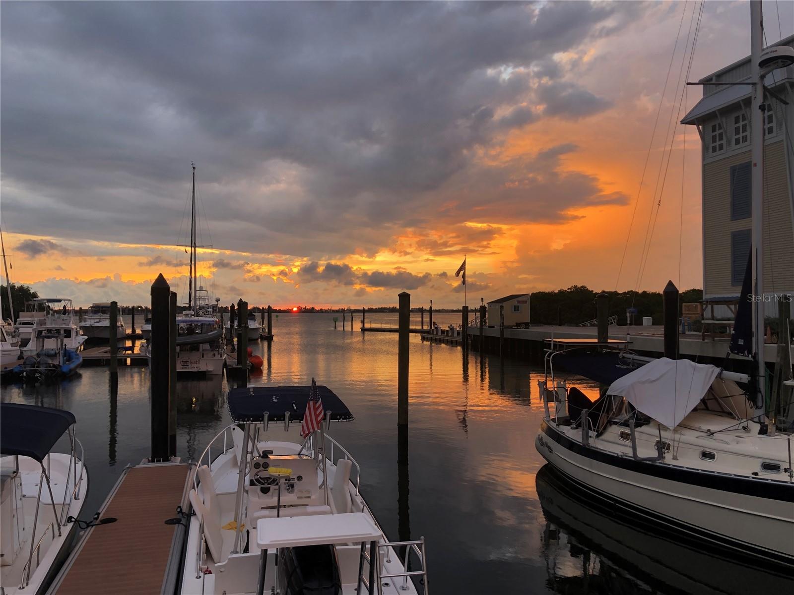 MARINA WALK ON ONE PARTICULAR HARBOUR - Residential