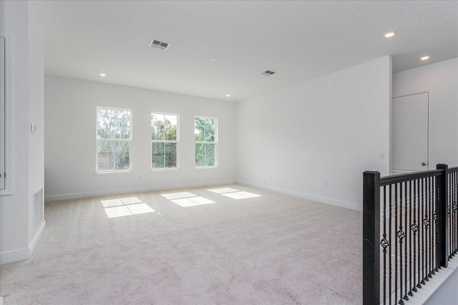PALMS AT WINDERMERE - Residential