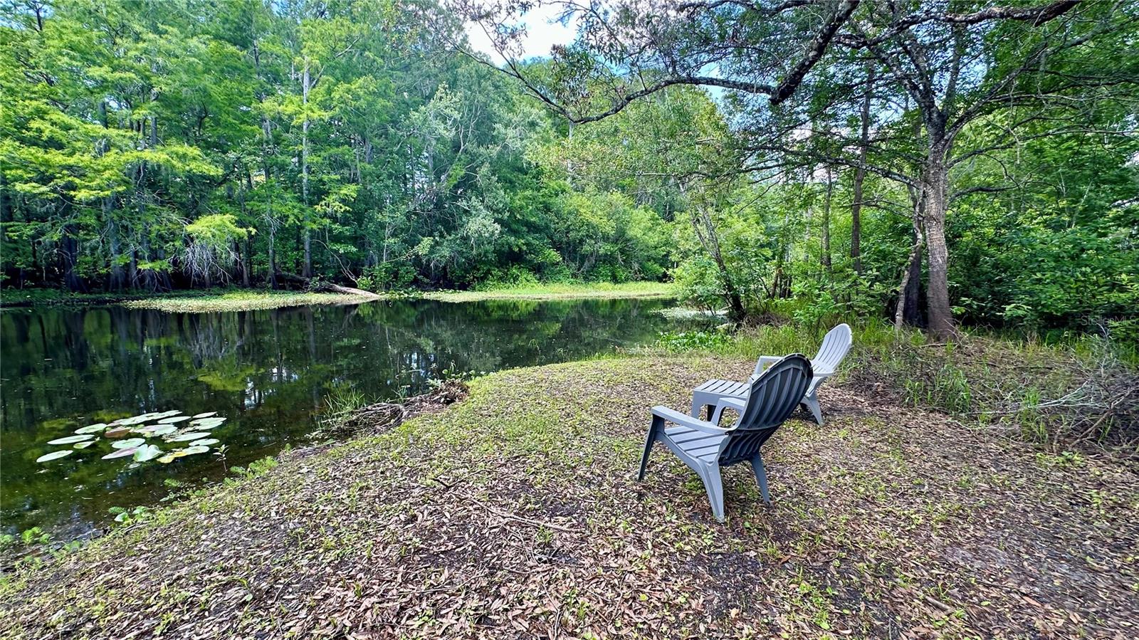 EDGEWATER - Residential