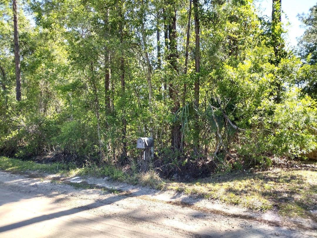 DAYTONA NORTH SUB - Residential