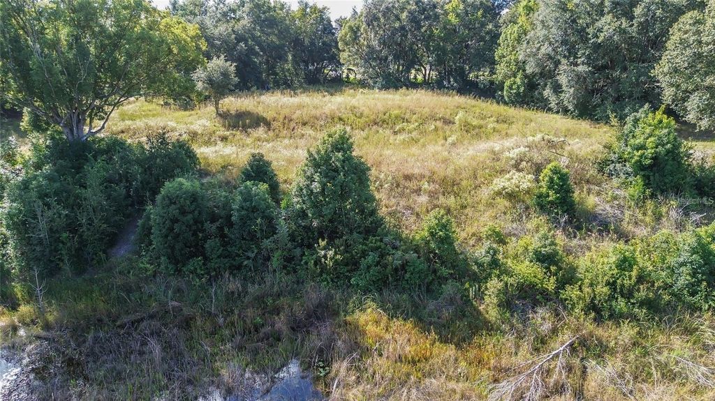 Photo of 6 Tree Frog Lane, Eustis, FL 32736 (MLS # V4946638)