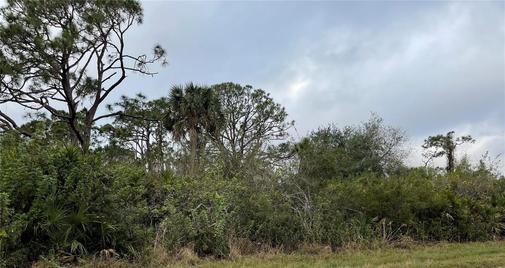 Photo of Port Charlotte, FL 33981 (MLS # C7505055)