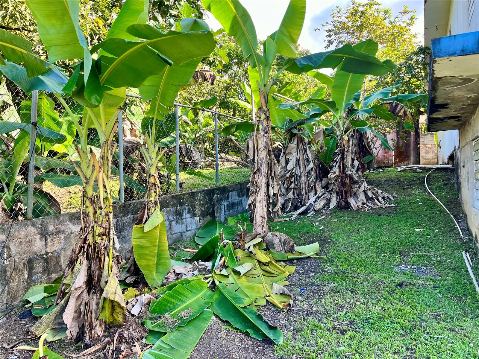 FORTUNA COMMUNITY - Residential