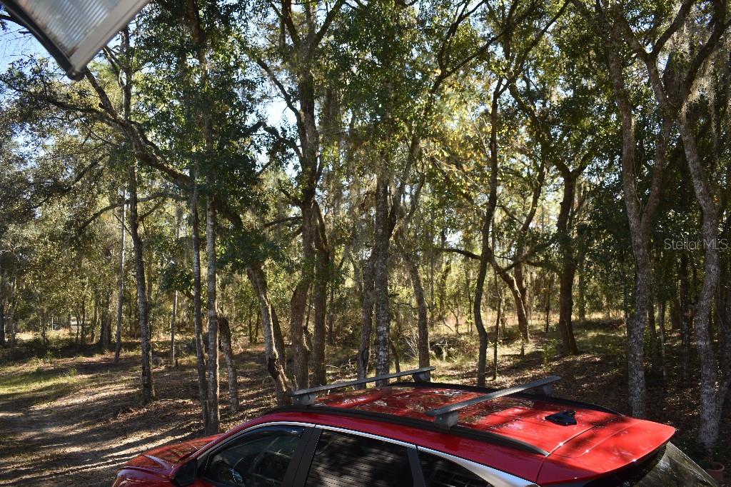 WILLISTON HLNDS - Residential