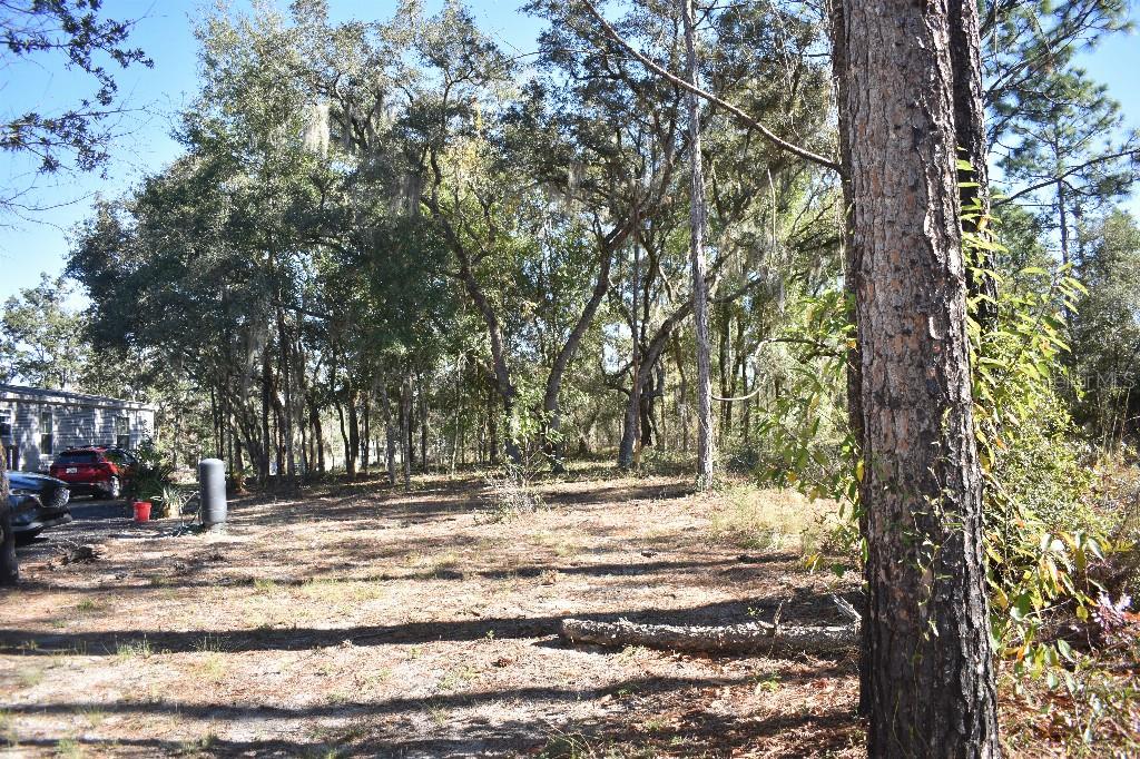 WILLISTON HLNDS - Residential