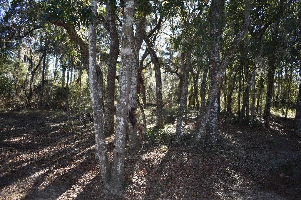 WILLISTON HLNDS - Residential