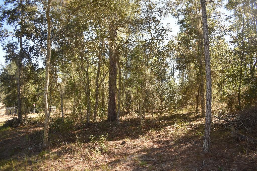 WILLISTON HLNDS - Residential