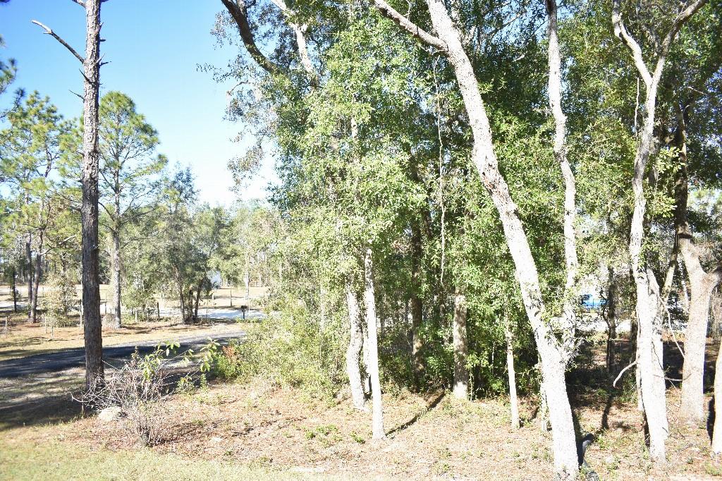 WILLISTON HLNDS - Residential