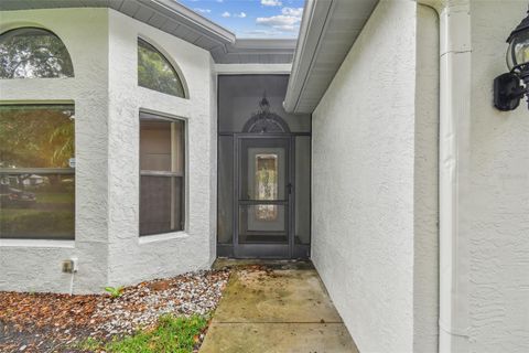 A home in SUN CITY CENTER