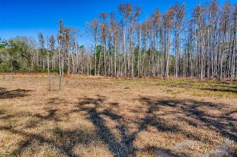 Tiny photo for 5851 NE 77th Avenue, Bronson, FL 32621 (MLS # GC537940)