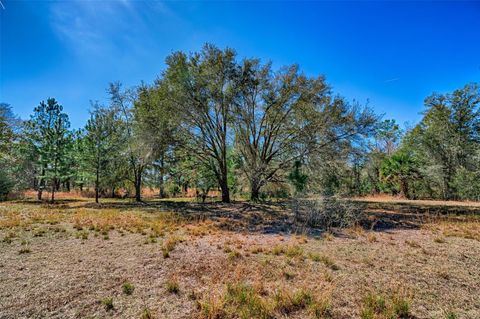 Tiny photo for 5851 NE 77th Avenue, Bronson, FL 32621 (MLS # GC537940)