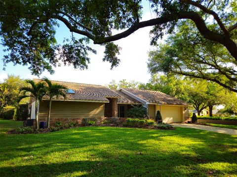 3393 SHORELINE DRIVE PALM HARBOR FL 34684