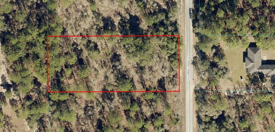 A VACANT LOT IN DUNNELLON IN MARION COUNTY!!! seller owns multiple lots and is offering bulk discounts.