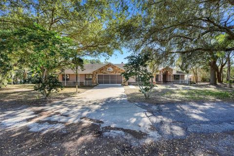 Tiny photo for 17200 Peru Road, Umatilla, FL 32784 (MLS # G5105734)