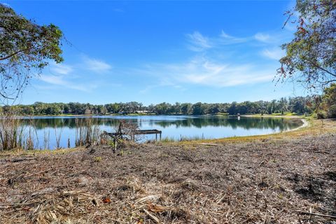 Tiny photo for 17200 Peru Road, Umatilla, FL 32784 (MLS # G5105734)