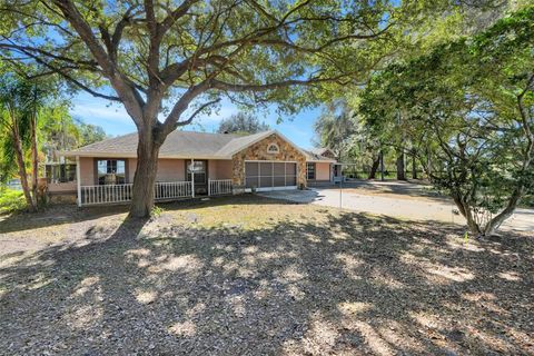 Tiny photo for 17200 Peru Road, Umatilla, FL 32784 (MLS # G5105734)