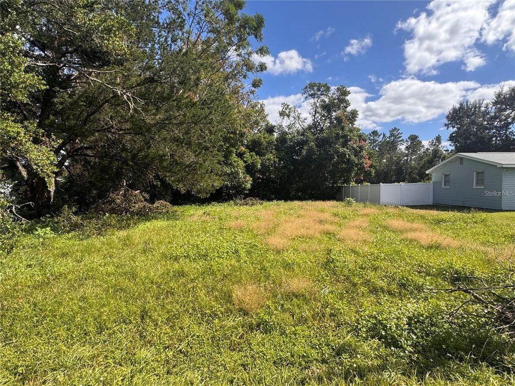Photo of 26408 Rolling Acres Drive, Brooksville, FL 34602 (MLS # O6332703)
