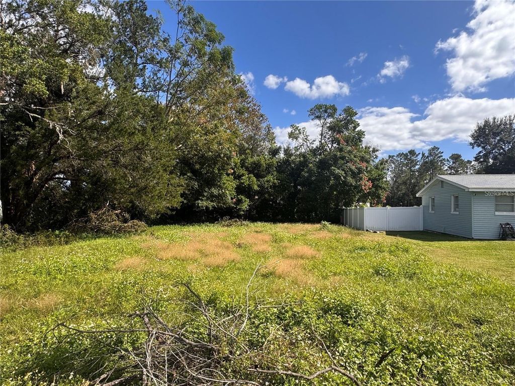 Photo of 26408 Rolling Acres Drive, Brooksville, FL 34602 (MLS # O6332703)