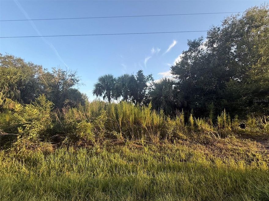 Build or bring your dream home on this high and dry 1.25-acre parcel nestled in the peaceful Viking/Prairie area of Okeechobee County. This spacious lot offers the perfect setting for your dream home, weekend getaway, or country retreat. Whether you're looking to build, invest, or just escape the hustle, this property offers endless potential. Enjoy wide-open skies, beautiful sunsets, and quiet surroundings with plenty of space for outdoor living, gardening, livestock, or recreational vehicles. Zoned for agricultural/residential use, there's flexibility to create the lifestyle you've always wanted. No HOA and no time limit to build! Located just minutes from Kissimmee Prairie Preserve State Park and within easy reach of Lake Okeechobee, this location is ideal for nature lovers, hunters, and off-grid enthusiasts.