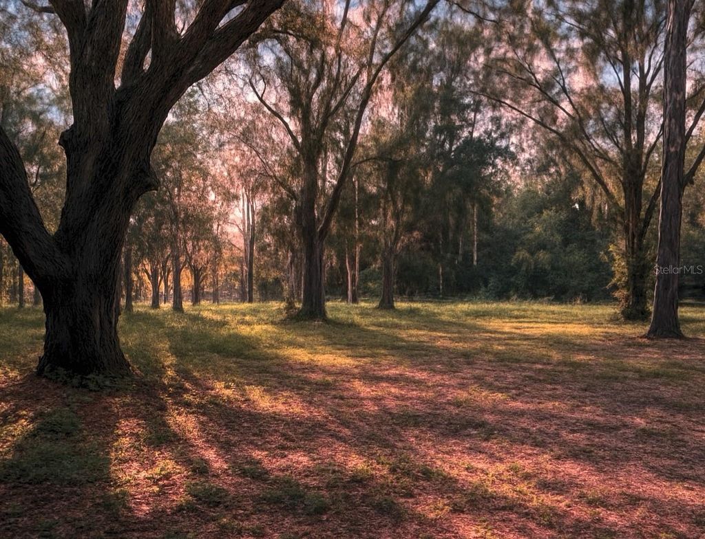 Photo of Rogers Road, Odessa, FL 33556 (MLS # TB8426779)