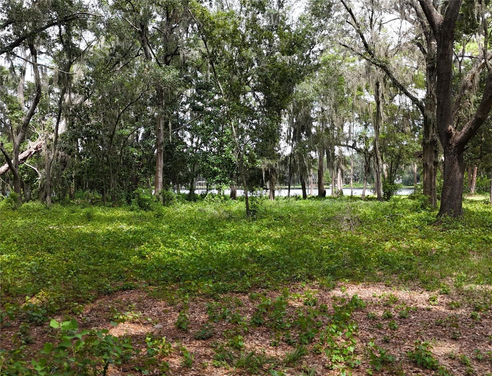 UNPLATTED - Land