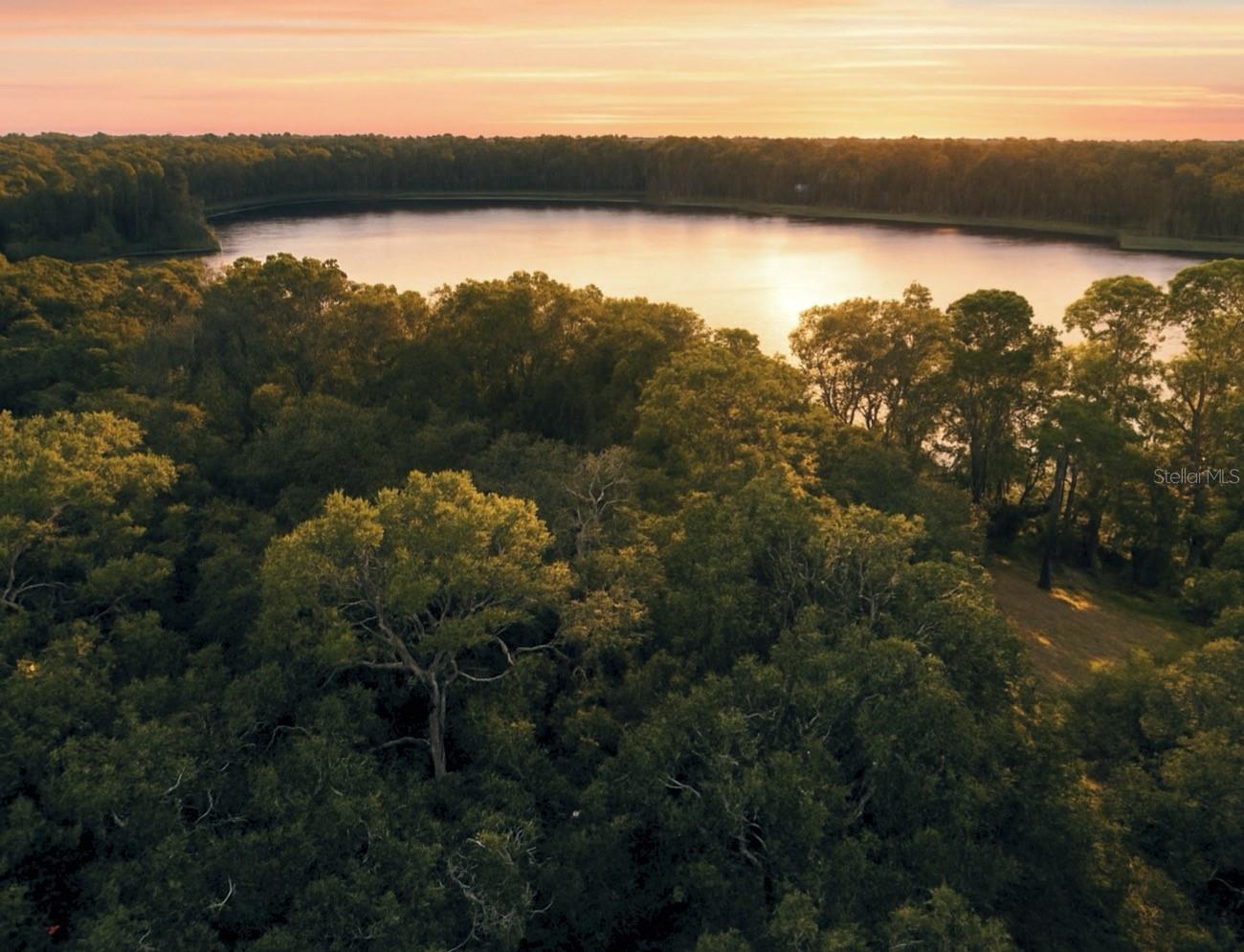 A rare opportunity awaits on this picturesque lakefront property of over an acre, offering endless possibilities for both builders and future homeowners. With plenty of space to design a custom estate or private retreat, this land is a true blank canvas for creating something extraordinary. Nestled just down the road from the Upper Tampa Bay Trailhead at Lutz Lake, outdoor enthusiasts will love easy access to Brooker Creek Nature Preserve, while sports complexes, golf courses, and all that Tampa has to offer are minutes away. Whether you’re a builder looking for your next standout project or a buyer ready to bring your dream home vision to life, this lakefront property delivers the perfect balance of natural beauty, prime location, and lifestyle convenience.