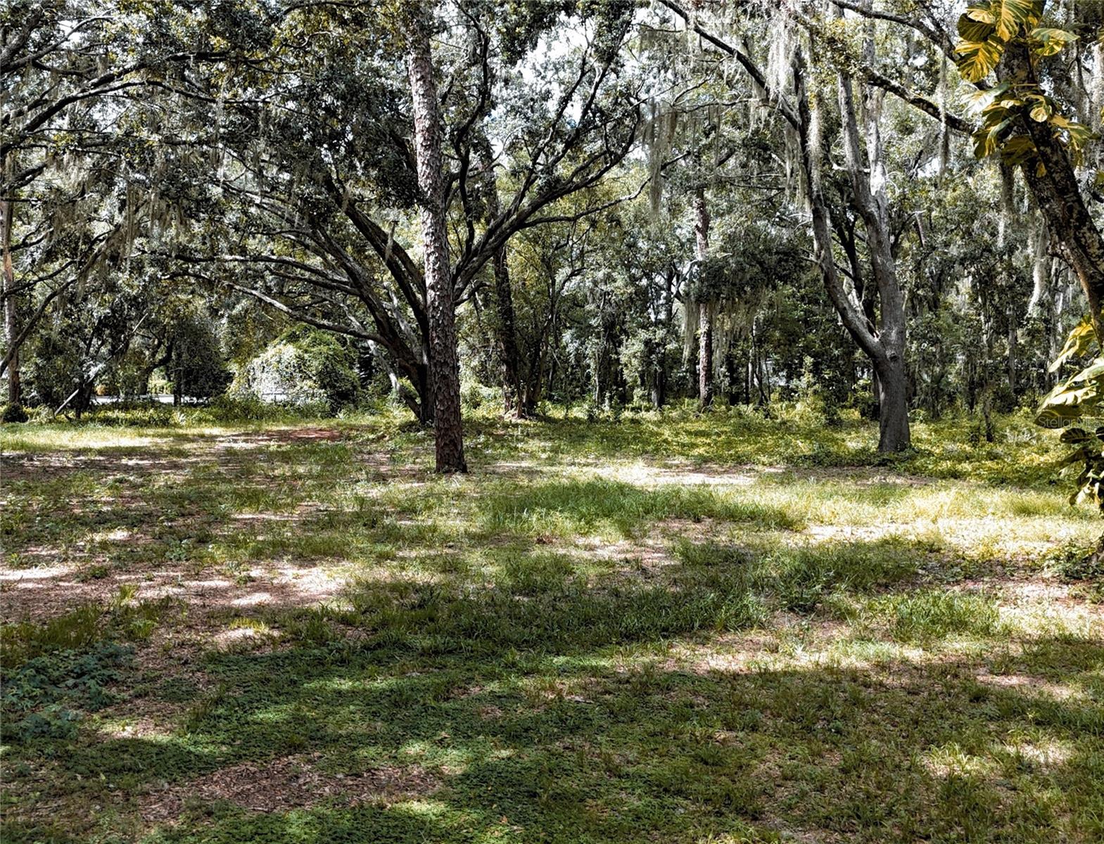 UNPLATTED - Land