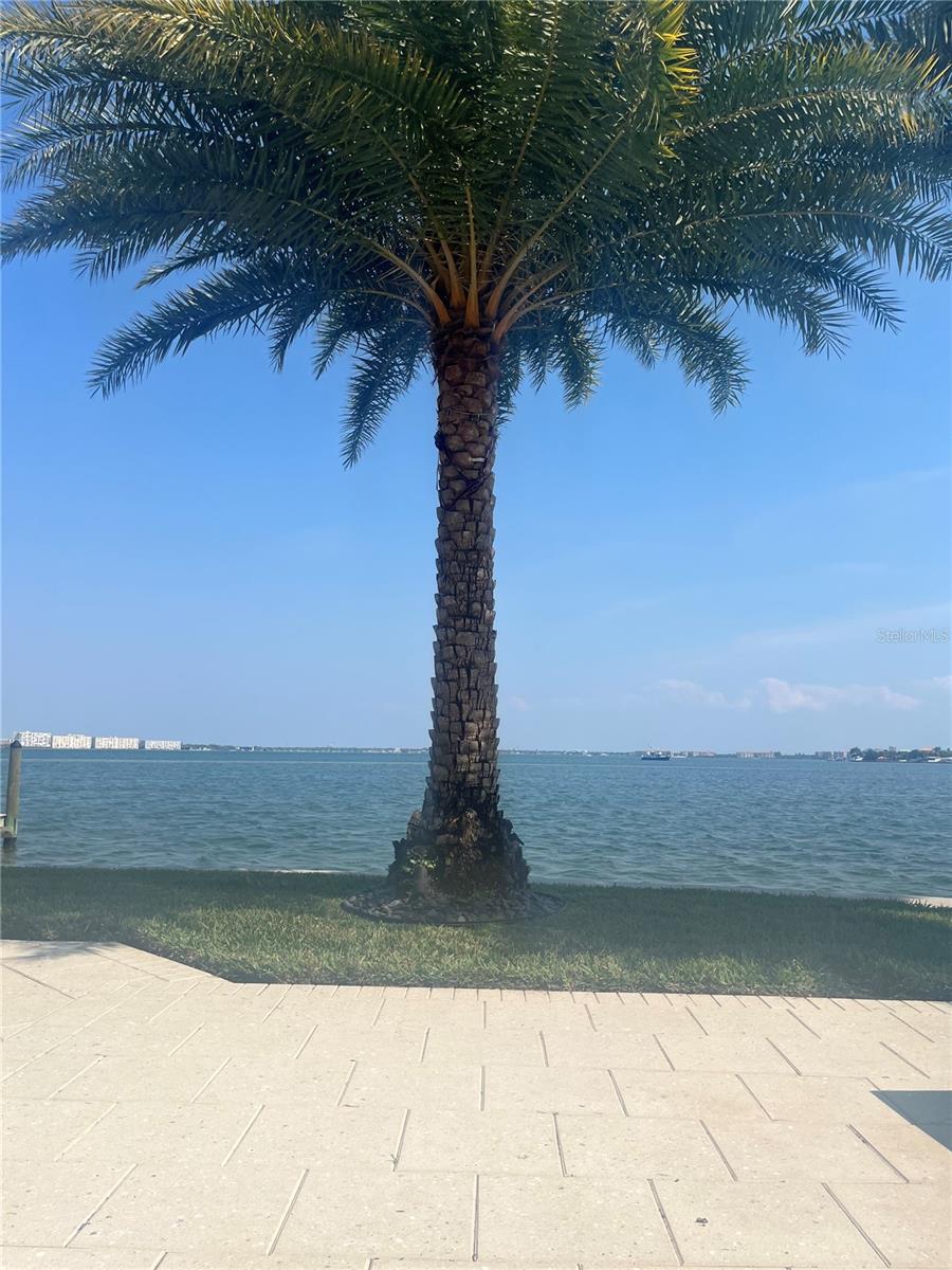 239 PUNTA VISTA DRIVE