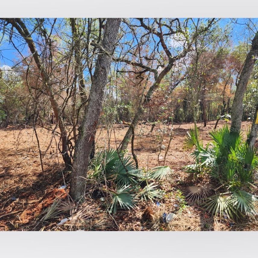 20445 SE 156TH ST STREET - Photo 4