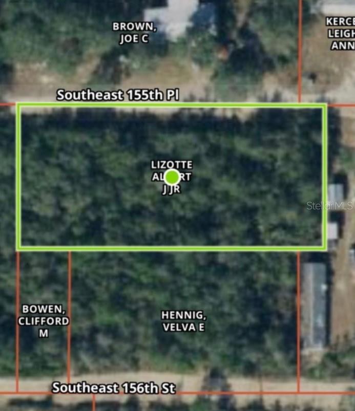 20445 SE 156TH ST STREET - Photo 2