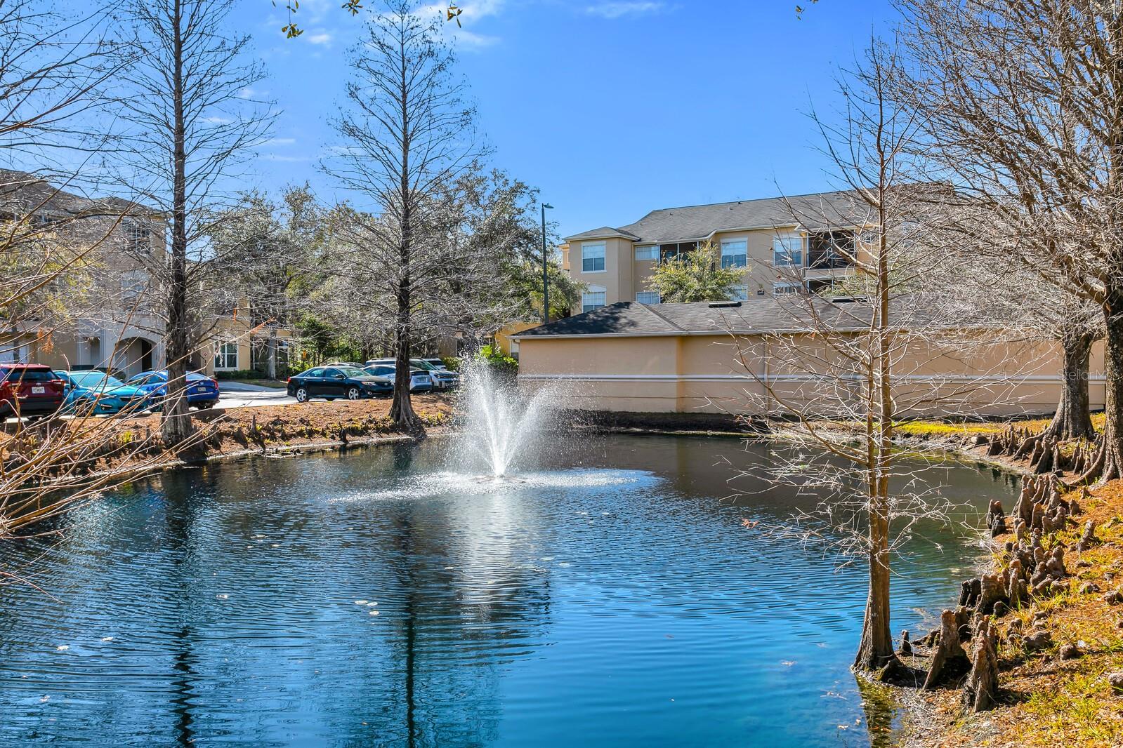 OXFORD PLACE AT TAMPA PALMS A - Residential